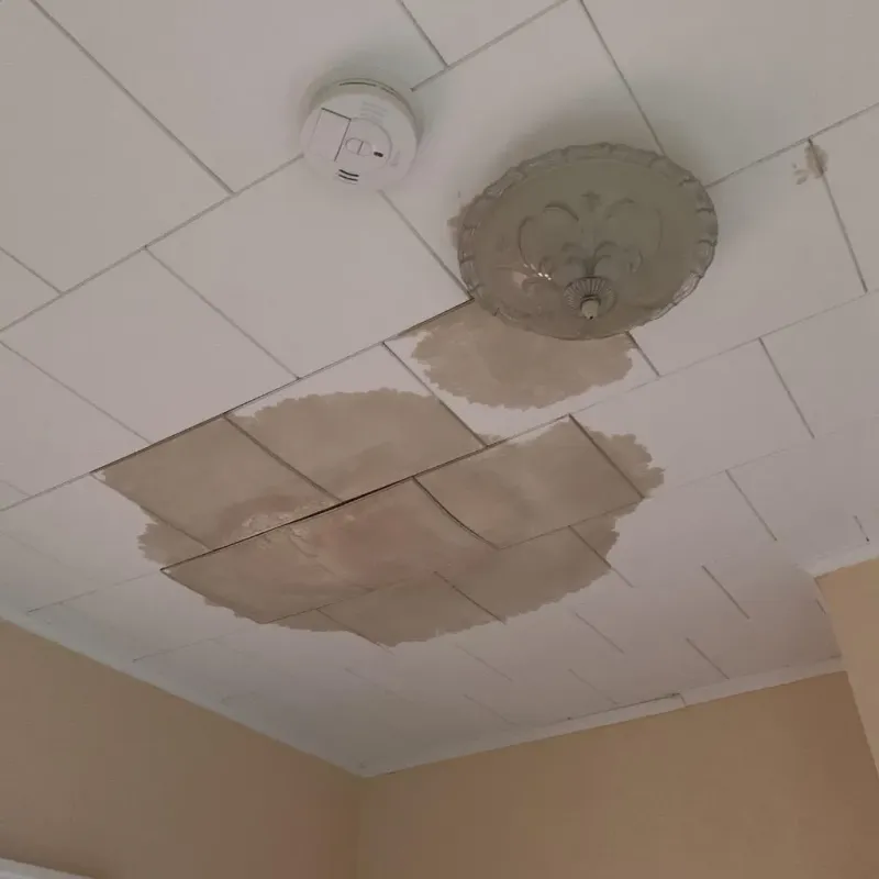 Ceiling Water Damage Repair in Oakboro, NC