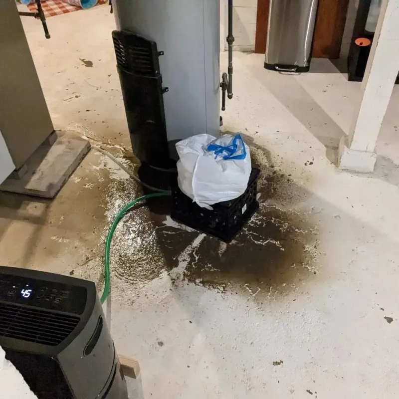 Sewage Backup Cleanup Service in Oakboro, NC